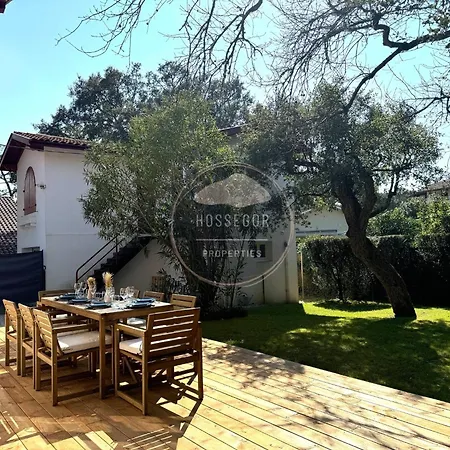 Gazouillis - Hossegor - Centre - * Soorts-Hossegor